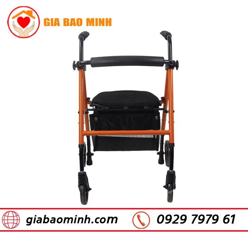 xe tập đi người già 034
